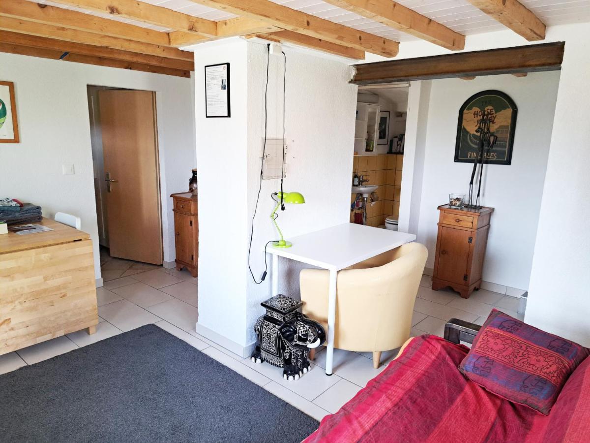 "Les Echalas" Appartement Independant Avec Cuisine En Lavaux Unesco Шебр Экстерьер фото